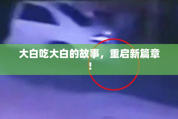 大白吃大白的故事，重启新篇章！