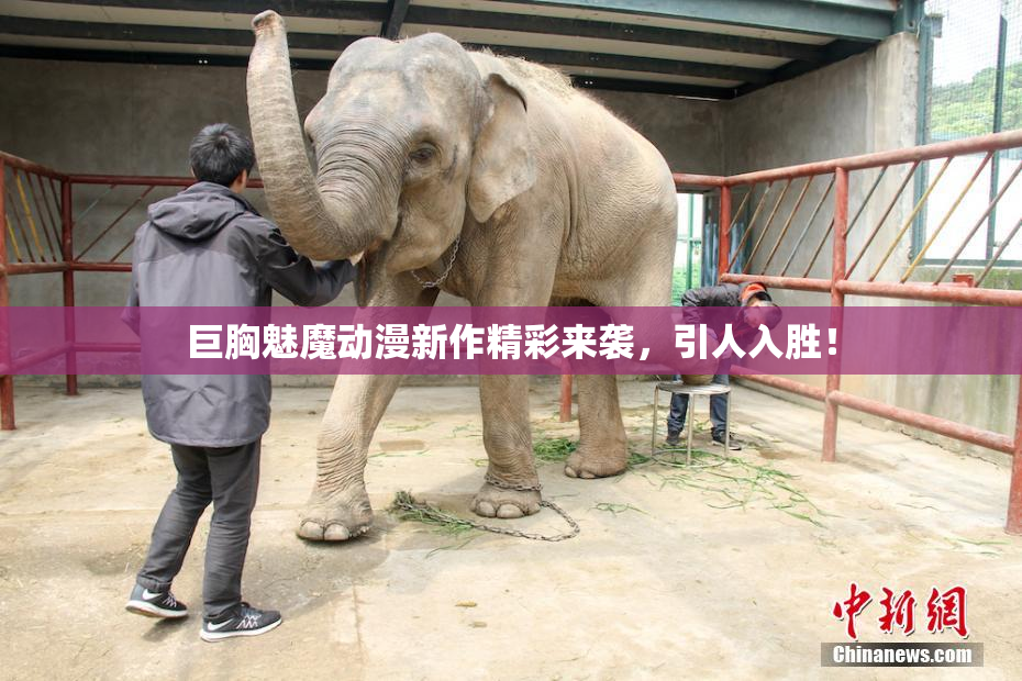 巨胸魅魔动漫新作精彩来袭，引人入胜！