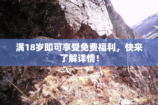 满18岁即可享受免费福利，快来了解详情！