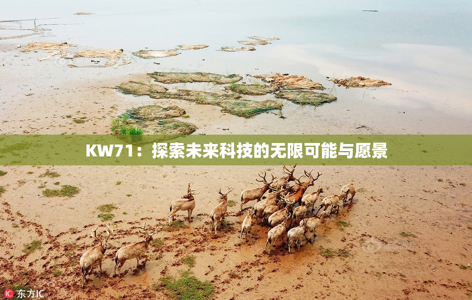 KW71：探索未来科技的无限可能与愿景