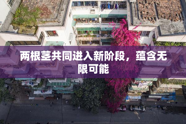 两根茎共同进入新阶段，蕴含无限可能