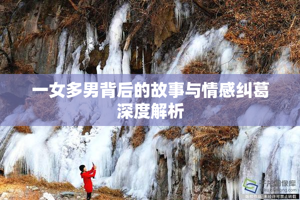 一女多男背后的故事与情感纠葛深度解析