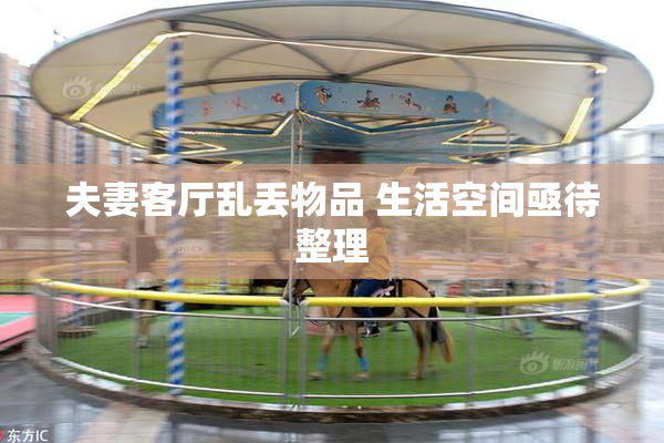夫妻客厅乱丢物品 生活空间亟待整理
