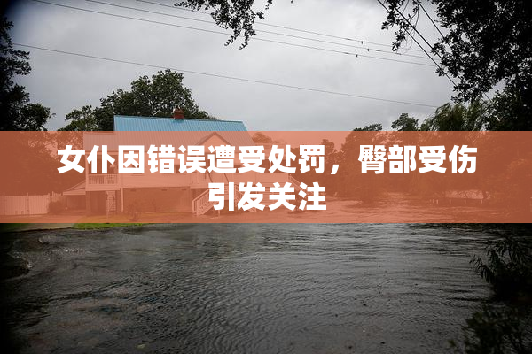 女仆因错误遭受处罚，臀部受伤引发关注