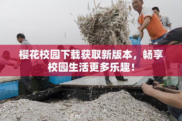 樱花校园下载获取新版本，畅享校园生活更多乐趣！