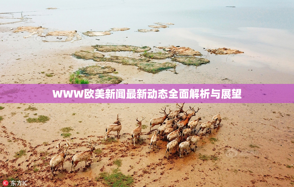 WWW欧美新闻最新动态全面解析与展望