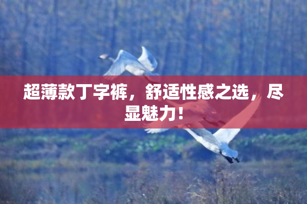 超薄款丁字裤，舒适性感之选，尽显魅力！