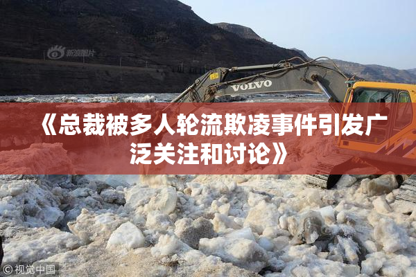 《总裁被多人轮流欺凌事件引发广泛关注和讨论》