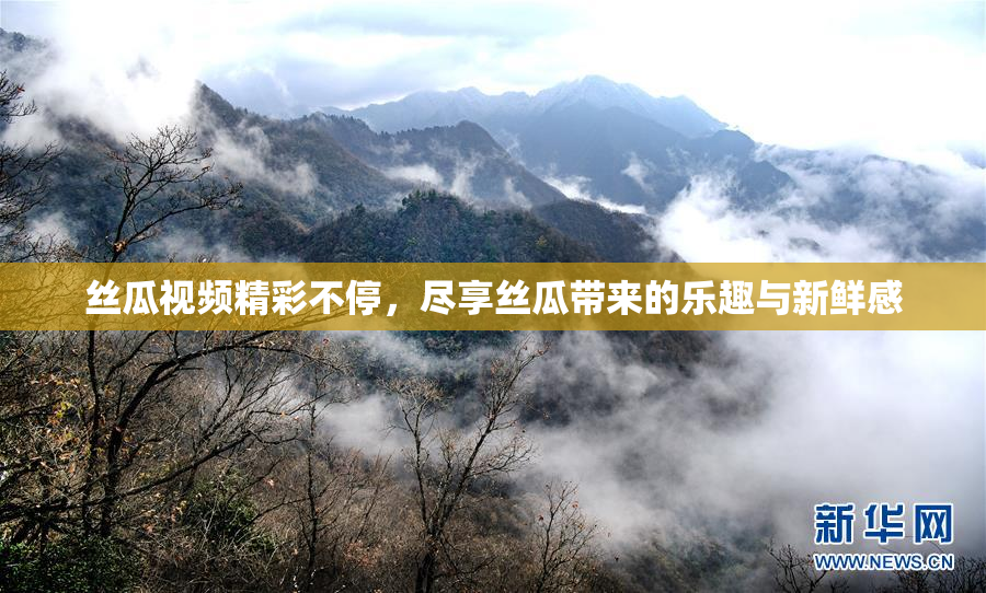 丝瓜视频精彩不停，尽享丝瓜带来的乐趣与新鲜感