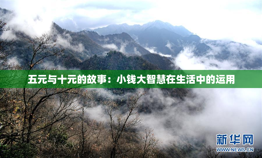 五元与十元的故事：小钱大智慧在生活中的运用
