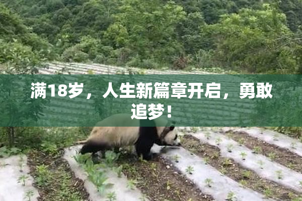 满18岁，人生新篇章开启，勇敢追梦！