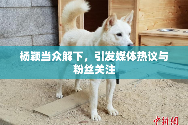 杨颖当众解下，引发媒体热议与粉丝关注