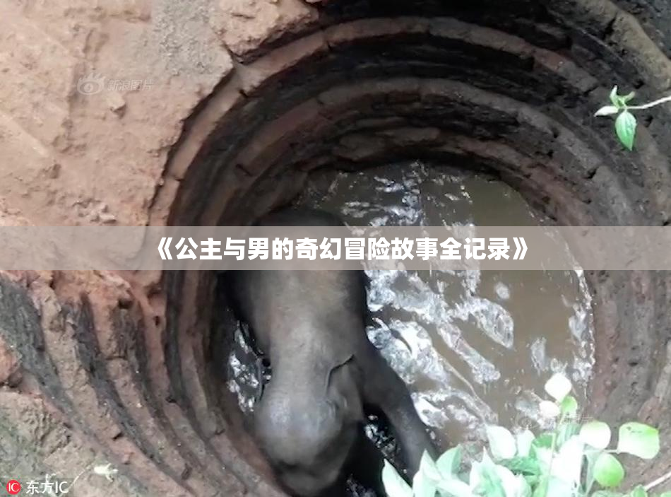 《公主与男的奇幻冒险故事全记录》