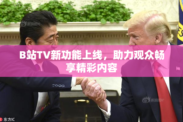 B站TV新功能上线，助力观众畅享精彩内容