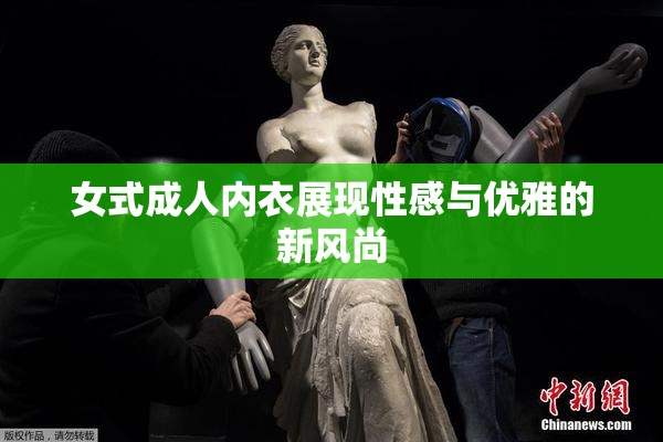 女式成人内衣展现性感与优雅的新风尚