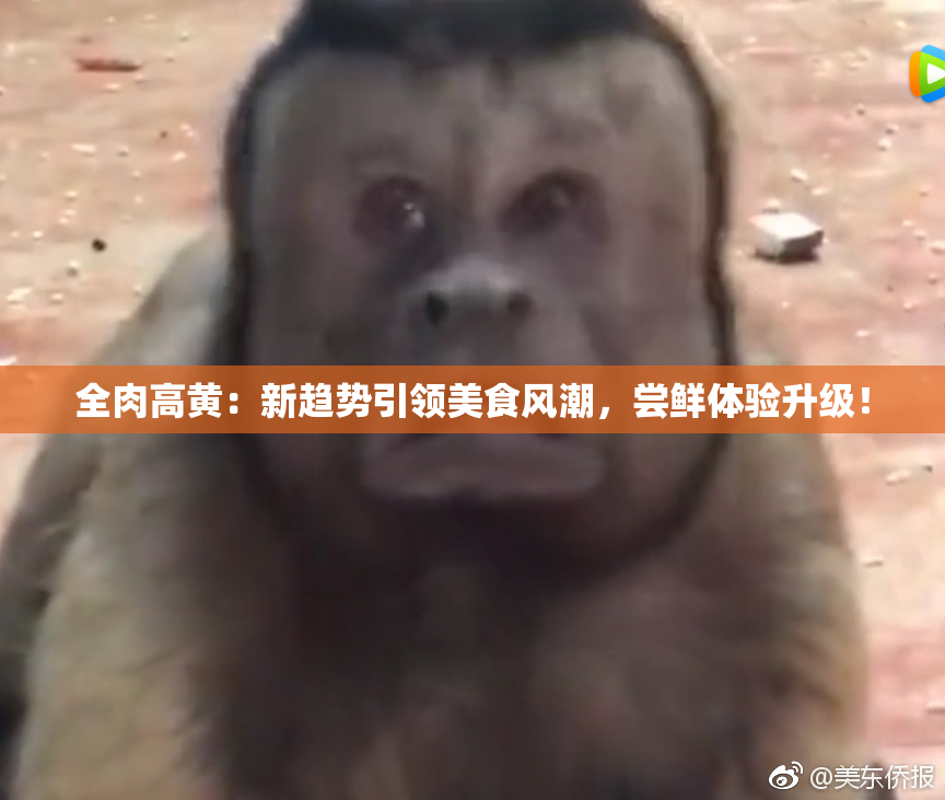 全肉高黄：新趋势引领美食风潮，尝鲜体验升级！
