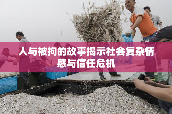人与被拘的故事揭示社会复杂情感与信任危机