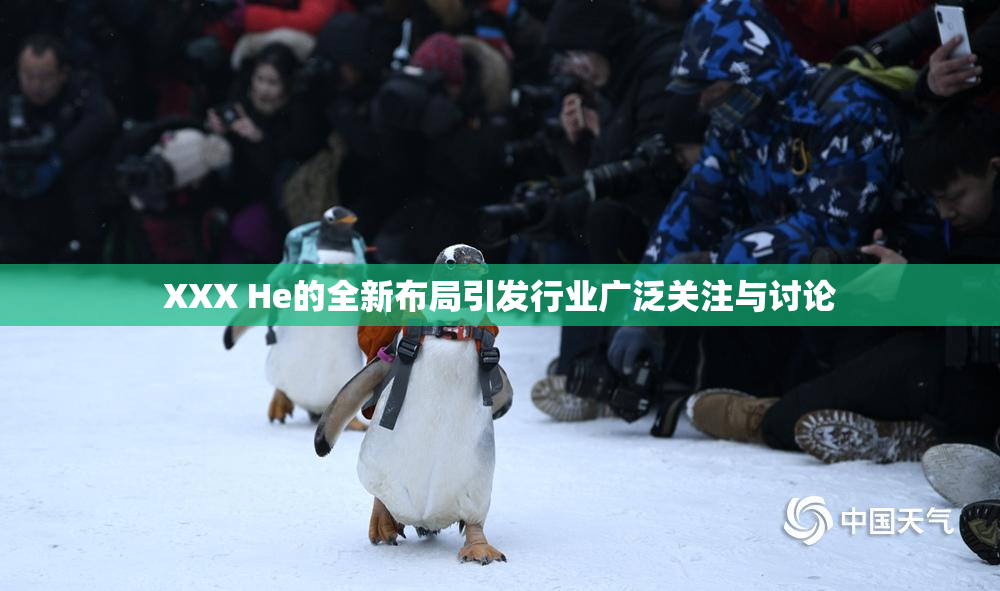 XXX He的全新布局引发行业广泛关注与讨论