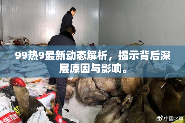 99热9最新动态解析，揭示背后深层原因与影响。