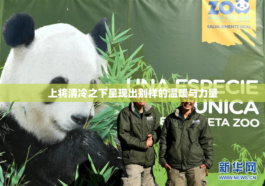 上将清冷之下呈现出别样的温暖与力量