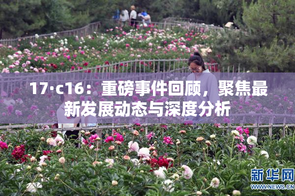17·c16：重磅事件回顾，聚焦最新发展动态与深度分析