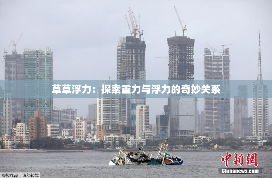 草草浮力：探索重力与浮力的奇妙关系