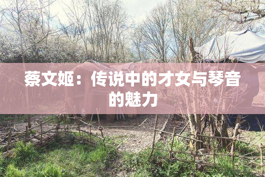 蔡文姬：传说中的才女与琴音的魅力