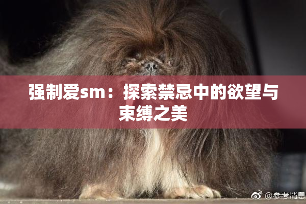 强制爱sm：探索禁忌中的欲望与束缚之美