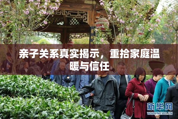 亲子关系真实揭示，重拾家庭温暖与信任
