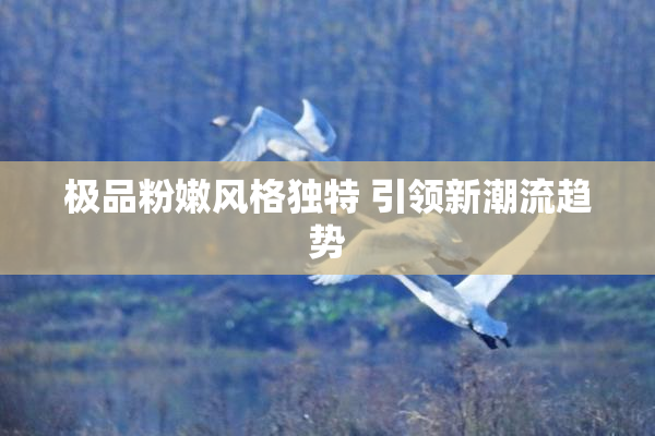 极品粉嫩风格独特 引领新潮流趋势