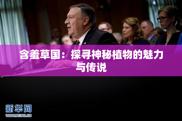 含羞草国：探寻神秘植物的魅力与传说