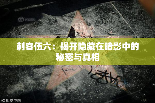 刺客伍六：揭开隐藏在暗影中的秘密与真相