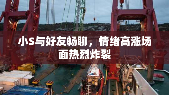 小S与好友畅聊，情绪高涨场面热烈炸裂