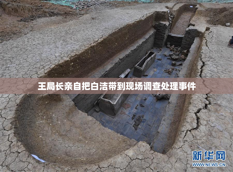 王局长亲自把白洁带到现场调查处理事件