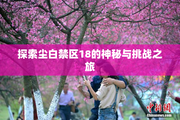 探索尘白禁区18的神秘与挑战之旅