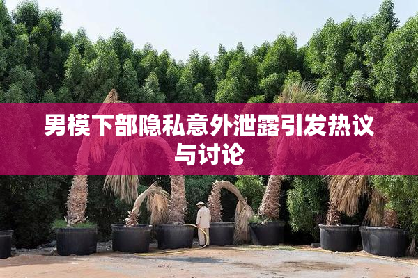 男模下部隐私意外泄露引发热议与讨论