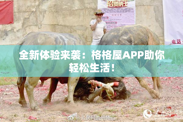 全新体验来袭：格格屋APP助你轻松生活！