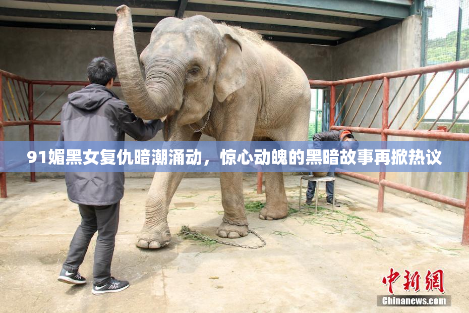 91媚黑女复仇暗潮涌动，惊心动魄的黑暗故事再掀热议