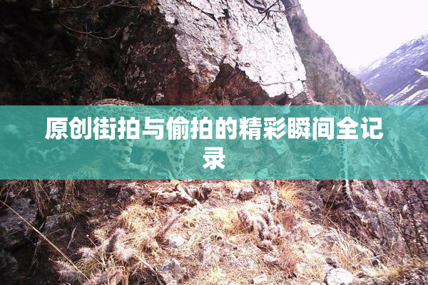 原创街拍与偷拍的精彩瞬间全记录