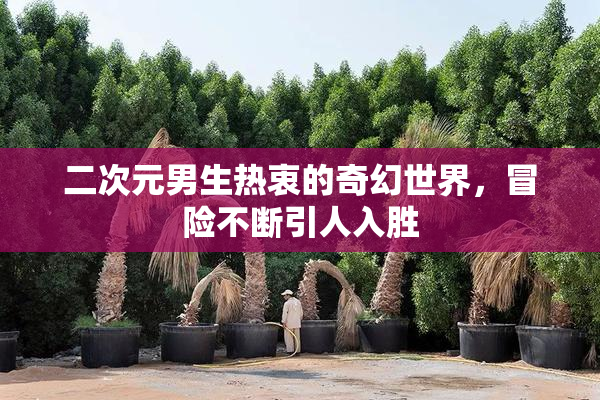 二次元男生热衷的奇幻世界，冒险不断引人入胜