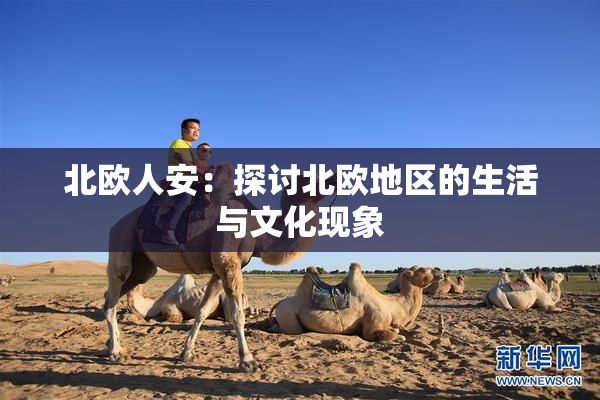 北欧人安：探讨北欧地区的生活与文化现象