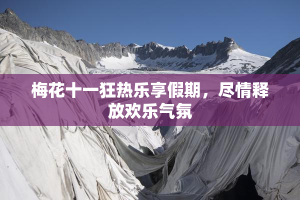 梅花十一狂热乐享假期，尽情释放欢乐气氛