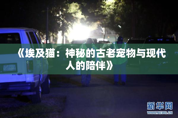 《埃及猫：神秘的古老宠物与现代人的陪伴》