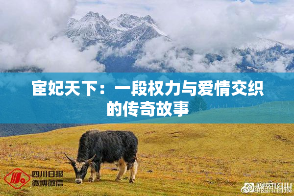 宦妃天下：一段权力与爱情交织的传奇故事