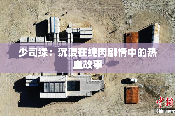 少司缘：沉浸在纯肉剧情中的热血故事