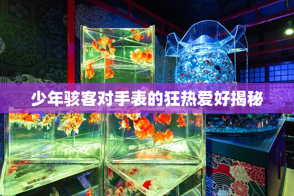 少年骇客对手表的狂热爱好揭秘