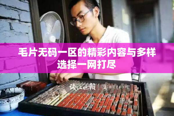 毛片无码一区的精彩内容与多样选择一网打尽