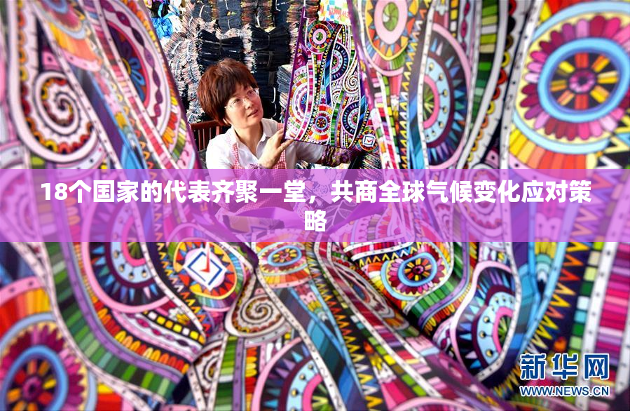 18个国家的代表齐聚一堂，共商全球气候变化应对策略