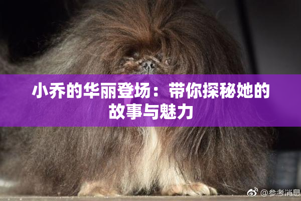 小乔的华丽登场：带你探秘她的故事与魅力