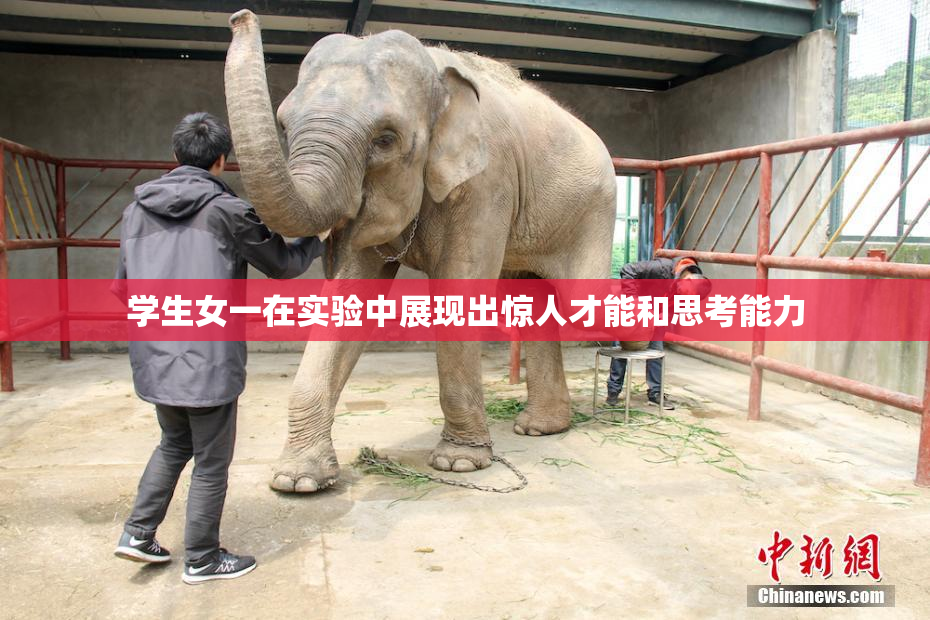 学生女一在实验中展现出惊人才能和思考能力
